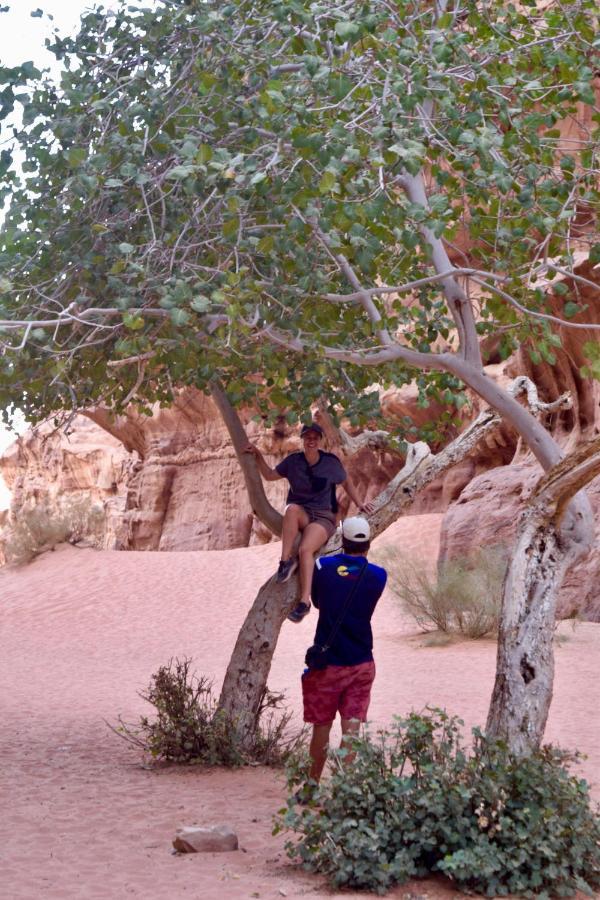 Hotel Nature Star Camp Wadi Rum Exteriér fotografie